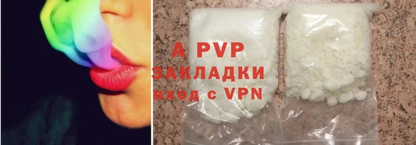 сатива Аша