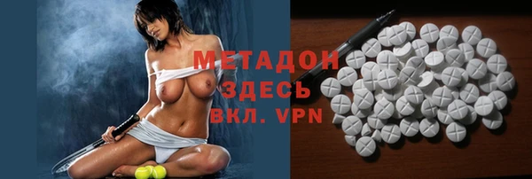 прущие грибы Абинск