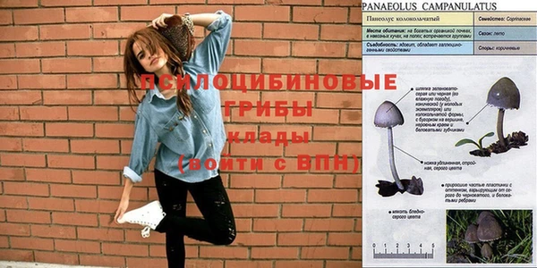 стаф Абдулино