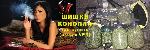прущие грибы Абинск