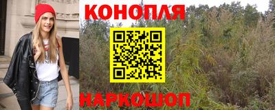 PSILOCYBIN Можайск