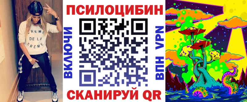 Псилоцибиновые грибы Psilocybine cubensis  купить  сайты  Юрга 