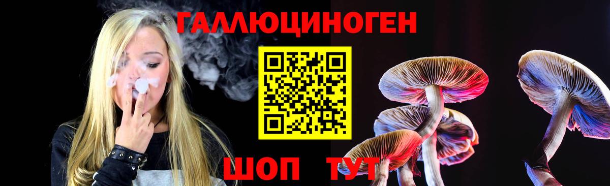Галлюциногенные грибы Cubensis  Галлюциногенные грибы MAGIC MUSHROOMS  Вход с VPN  Юрга 